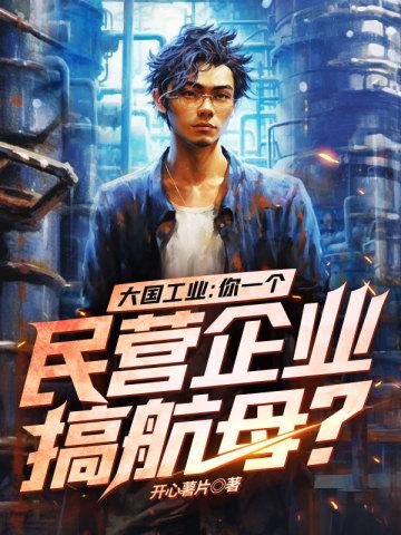 大国工业你一个民营企业搞航母? 开心薯片