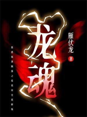 龙魂五件套图片