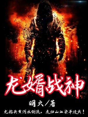 龙婿战神全文免费阅读