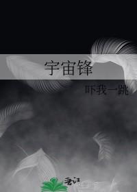 宇宙锋是什么意思