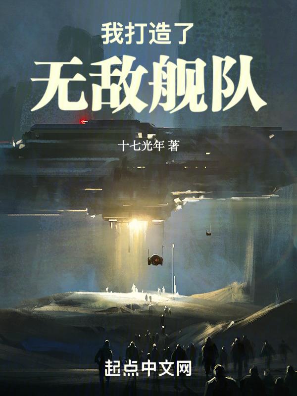 我打造了无敌舰队免费完整版