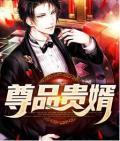 尊品贵婿最新章节全文阅读