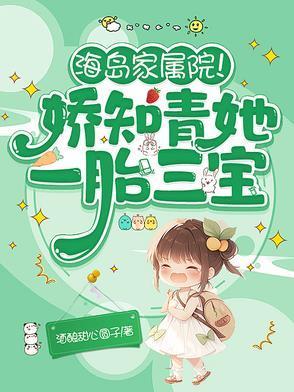 海岛家属院!娇知青她一胎三宝酒酿甜心圆子