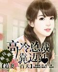 高冷总裁追妻忙