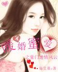 豪门暖婚蜜爱完整版