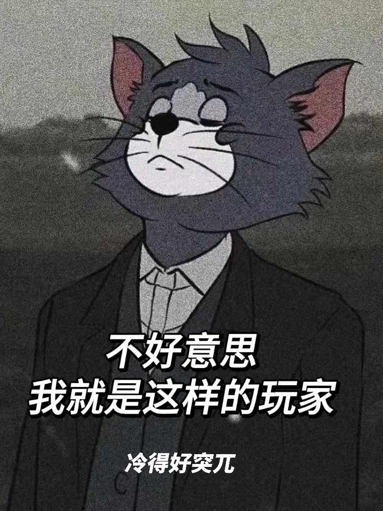 我就是这样的玩家类似
