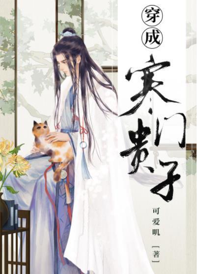 穿成寒门贵子讲什么