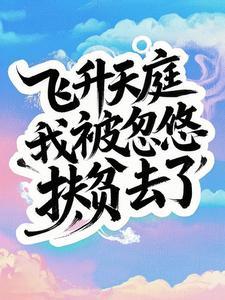 飞升以后