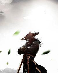 绝世战尊凌风