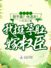 顾西城宋浅全文免费阅读