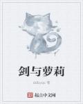 剑与剑客