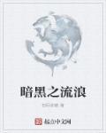 暗黑流浪者机甲