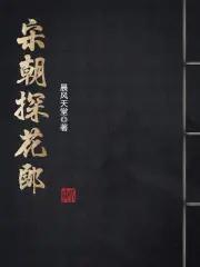 宋朝探花郎何盛