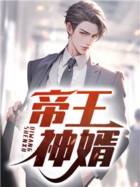 帝王神婿 无弹窗