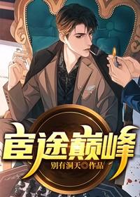 宦途巅峰 第27章