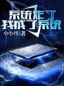 系统炸了我成了系统塔读