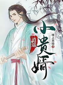 逍遥小贵婿李辰安宁楚楚