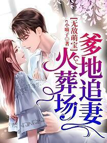 无敌萌宝爹地追妻火葬场免费阅读