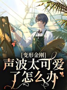 声波频率范围