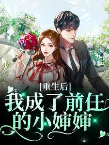 陆宴北苏宁