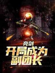 亮剑之开局一个团顶点