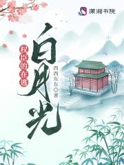 权臣的白月光讲的什么