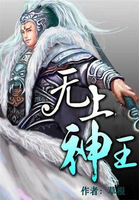 无上神王TXT完整版