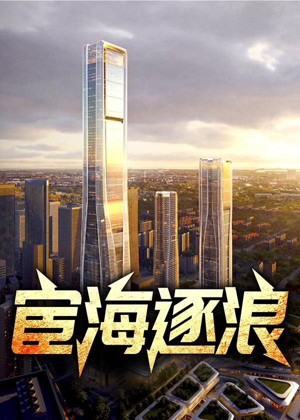 宦海逐浪赵飞鹏