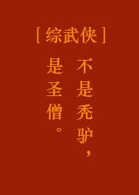 综武侠圣僧鼎上软