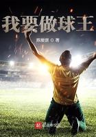 我要做球王无弹窗