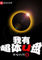 我有超体u盘类似的