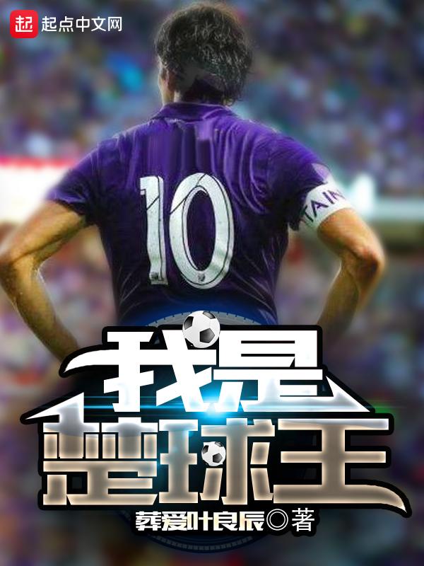 我是楚球王精校