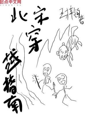 北宋穿越指南评价