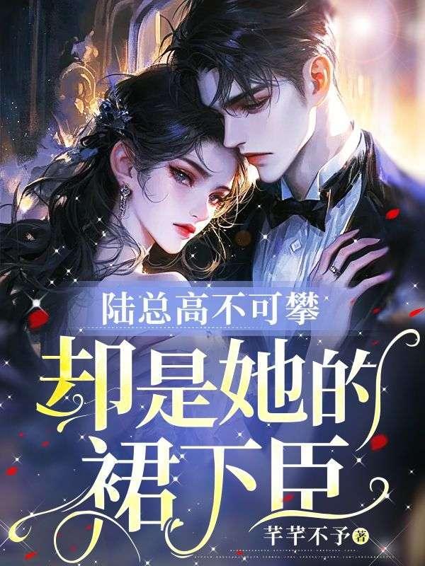 陆总是哪部电视剧里的
