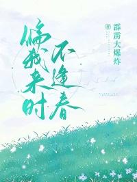 偏我来时不逢春偏我去时春满城全诗