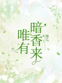 为有暗香来电视剧剧情简介