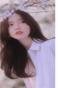 火影樱之影