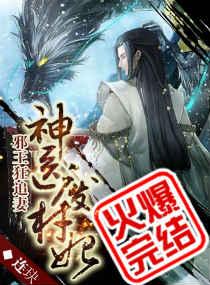 神医废材妃连玦番外txt