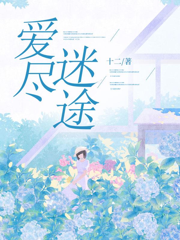 爱入迷途电视剧