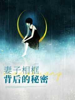 妻子背后的秘密林文静