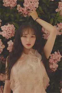 摄政王的王妃要和离