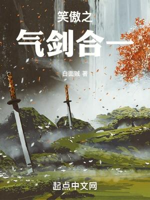 笑傲之气剑合一TXT资源