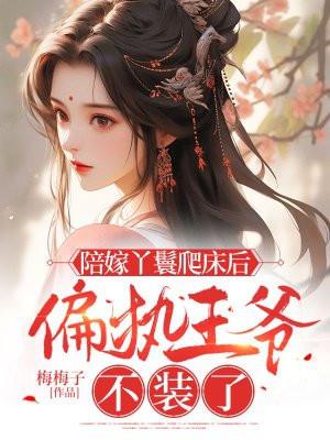 陪嫁丫鬟的逆袭
