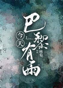 今天巴黎有雨讲的什么