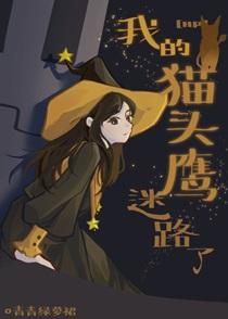 HP我的猫头鹰迷路了txt云盘