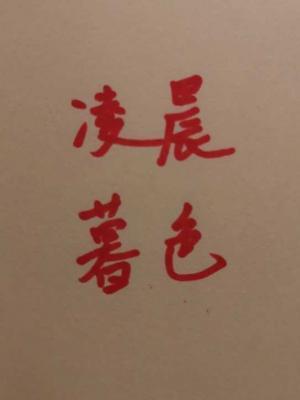 凌晨暮色by初禾免费阅读讲了什么