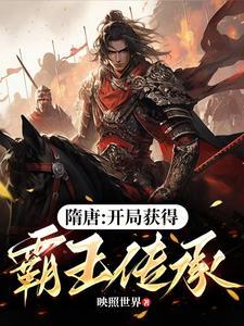 隋唐开局继承