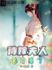 待嫁夫人追过来了免费阅读