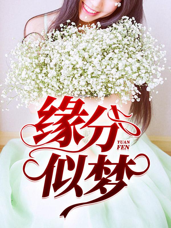 缘分似梦300章完整版
