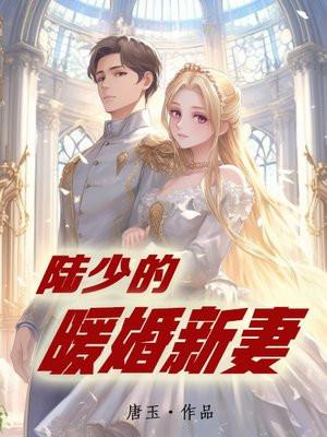 陆少的暖婚新妻最新章节